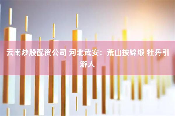 云南炒股配资公司 河北武安：荒山披锦缎 牡丹引游人